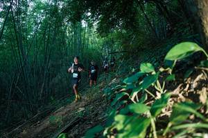 BIB: 
                            <button type="button" onclick="openModal(28124444)" class="btn btn-primary btn-sm float-right btn-popup" data-toggle="modal" data-target=".modal-high-quality">
                        <i class="fas fa-shopping-cart"></i> Add to Cart
                    </button>
                                            <button type="button" onclick="isThisMe(28124444, true)" class="btn btn-success btn-sm float-right btn-popup btn-isme hidden" data-toggle="tooltip" data-placement="bottom" title="นี่คือรูปของคุณใช่ไหม คลิกที่นี่เพื่อเอาเข้าอัลบั้ม">
                        <i class="fas fa-plus"></i> Add to album
                    </button>
                    <button type="button" onclick="isThisMe(28124444, false)" class="btn btn-warning btn-sm float-right btn-popup btn-isnotme hidden">
                        <i class="fas fa-ban"></i> Remove from album
                    </button>